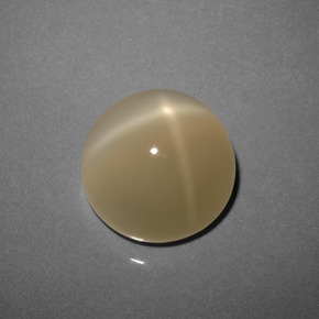 Light Yellow Brown Star Moonstone Gem - 8.7ct Round Cabochon (ID: 420896)