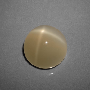 8.73 ct Brown Star Moonstone Stone, Natural Star Moonstone in Round Cabochon Shape for Sale