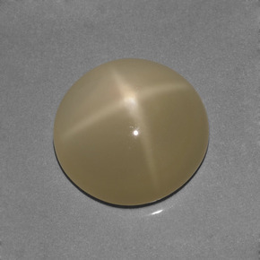7.53 ct Cream Star Moonstone Stone, Natural Star Moonstone in Round Cabochon Shape for Sale