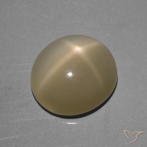 6.68 ct Oval Star Moonstone, 13.1 x 11.9 mm From India, Photo A