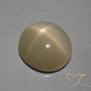 6.68 ct Brown Star Moonstone Stone, Natural Star Moonstone in Oval Cabochon Shape for Sale