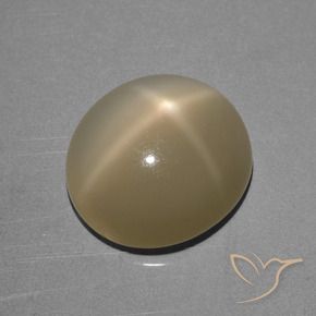 Star Moonstone Gemstone in 13.1 x 11.9 mm Size for Sale, Star Moonstone Stone in Light Yellow Brown Color
