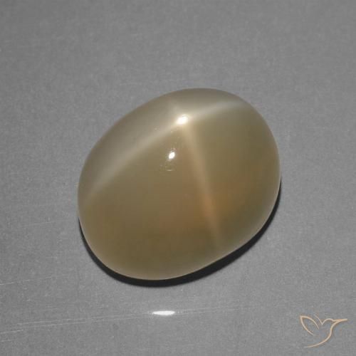 8.39 ct Oval Star Moonstone, 12.8 x 10.1 mm From India, Photo A