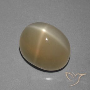 8.39 ct Brown Star Moonstone Stone, Natural Star Moonstone in Oval Cabochon Shape for Sale