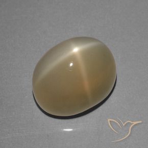 Star Moonstone Gemstone in 12.8 x 10.1 mm Size for Sale, Star Moonstone Stone in Pale Brown Color