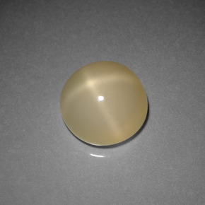 4.36 ct Cream Star Moonstone Stone, Natural Star Moonstone in Round Cabochon Shape for Sale