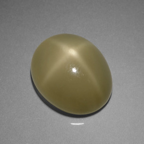 Star Moonstone Gemstone in 13 x 11 mm Size for Sale, Star Moonstone Stone in Green Color