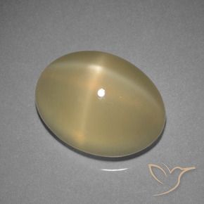 7.29 ct Brown Star Moonstone Stone, Natural Star Moonstone in Oval Cabochon Shape for Sale