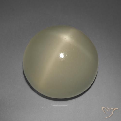 9.02 ct Round Star Moonstone, 13.1 mm From India, Photo A
