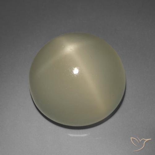 9.02 ct Brown Star Moonstone Stone, Natural Star Moonstone in Round Cabochon Shape for Sale