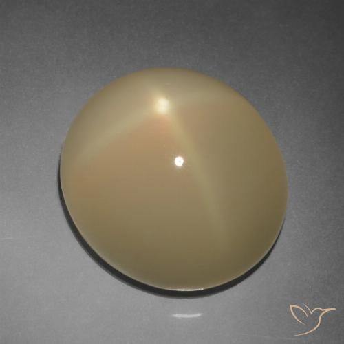 11.2 ct Oval Star Moonstone, 14.3 x 12.9 mm From India, Photo A