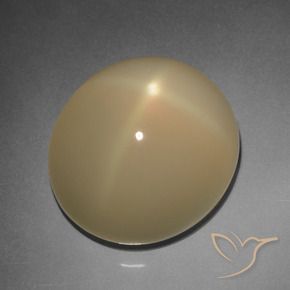 11.20 ct Brown Star Moonstone Stone, Natural Star Moonstone in Oval Cabochon Shape for Sale