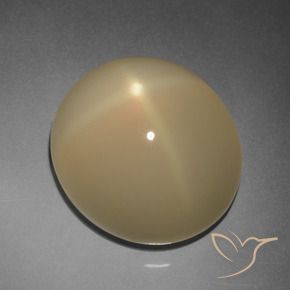Star Moonstone Gemstone in 14.3 x 12.9 mm Size for Sale, Star Moonstone Stone in Light Tortilla Brown Color