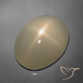 9.91 ct Brown Star Moonstone Stone, Natural Star Moonstone in Oval Cabochon Shape for Sale