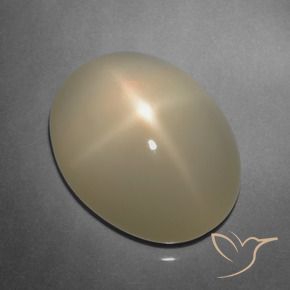 Star Moonstone Gemstone in 15.9 x 12.4 mm Size for Sale, Star Moonstone Stone in Pale Brown Color