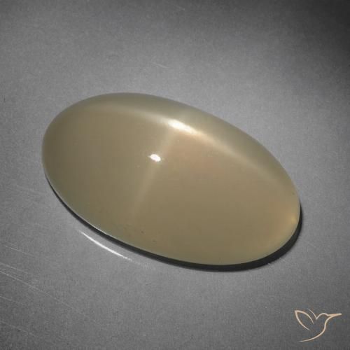 10.15 ct Oval Star Moonstone, 19.3 x 11 mm From India, Photo A