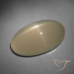 10.15 ct Brown Star Moonstone Stone, Natural Star Moonstone in Oval Cabochon Shape for Sale
