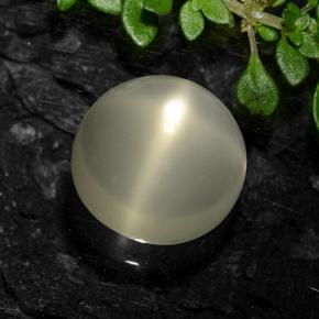 6.8ct Round Cabochon Cream Star Moonstone for sale thumb image of 6.8ct Round Cabochon Cream Star Moonstone (ID: 490939)