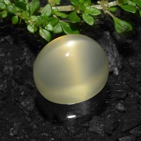 Star Moonstone Gemstone in 13 x 11 mm (calibrated) Size for Sale, Star Moonstone Stone in Light Yellow Color