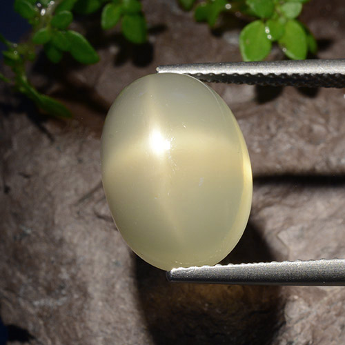 Pierre de Lune Étoilé Jaune clair Ovale 7,58 ct de l'Inde, Dimension 14,5 x 10,3mm, Pierre gemme naturelle Non traité, pureté Translucide, 1 pièce Pierre de Lune Étoilé oval cabochon, dureté de Mohs de 6 à 6.5, Photo A