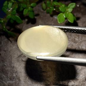 Star Moonstone Gemstone in 14.5 x 10.3 mm Size for Sale, Star Moonstone Stone in Light Yellow Color