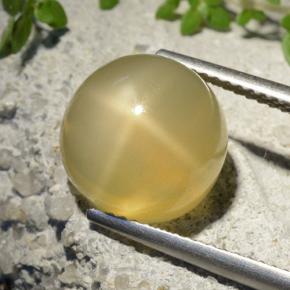 7.32 ct Yellow Star Moonstone Stone, Natural Star Moonstone in Round Cabochon Shape for Sale