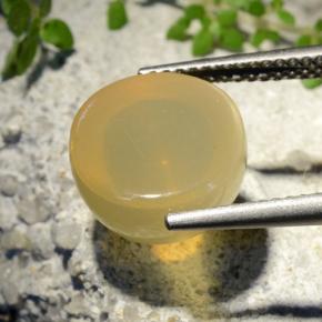 Star Moonstone Gemstone in 11 mm (calibrated) Size for Sale, Star Moonstone Stone in Medium Yellow Color