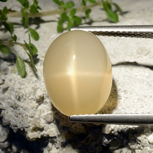Medium Yellow Star Moonstone Gem - 7.7ct Oval Cabochon (ID: 497322)