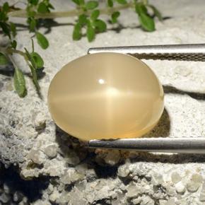 7.68 ct Yellow Star Moonstone Stone, Natural Star Moonstone in Oval Cabochon Shape for Sale
