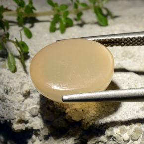 Star Moonstone Gemstone in 13.2 x 10.1 mm Size for Sale, Star Moonstone Stone in Medium Yellow Color