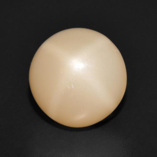 Cantaloupe Orange Star Moonstone Gem - 5.7ct Round Cabochon (ID: 605022)