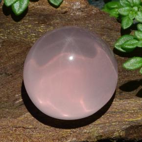 Star Rose Quartz Gemstone in 15.2 mm Size for Sale, Star Rose Quartz Stone in Pink Color