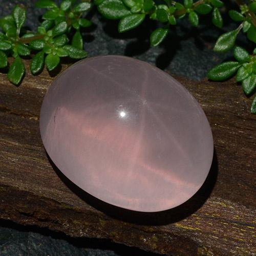 Rosa chiaro Quarzo rosa stellato Gem - 28.5ct Ovale cabochon (ID: 483549)