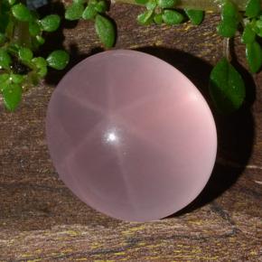 11.88 ct Pink Star Rose Quartz Gemstone, Star Rose Quartz Gem in Oval Cabochon Shape for Sale.