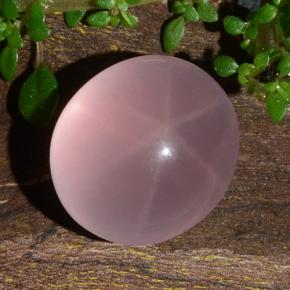 11.88 ct Pink Star Rose Quartz Stone, Natural Star Rose Quartz in Oval Cabochon Shape for Sale