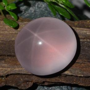 Star Rose Quartz Gemstone in 13.4 x 12.2 mm Size for Sale, Star Rose Quartz Stone in Pink Color