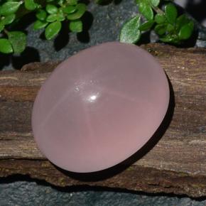Star Rose Quartz Gemstone in 19.3 x 15.3 mm Size for Sale, Star Rose Quartz Stone in Coral Pink Color
