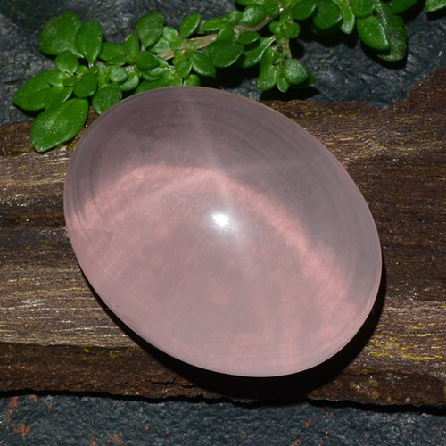 Quarzo rosa stellato 22 x 16,9mm rosa Ovale cabochon dal Sud Africa, peso di 41,38 ct, gemma naturale non trattati in purezza Translucent, 1 pezzo Quarzo rosa stellato - Colore: Rosa medio, durezza Mohs di 6,5 - 7 adatto per gioielli da indossare ogni giorno, Photo A