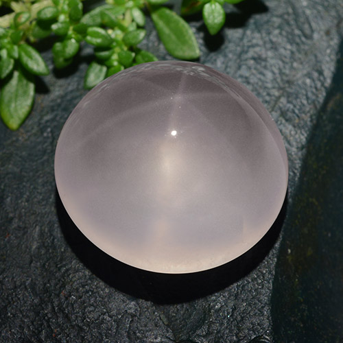 Rose très clair Quartz Rose Étoilé gemme - 34.4ct Cabochon rond (ID: 491565)