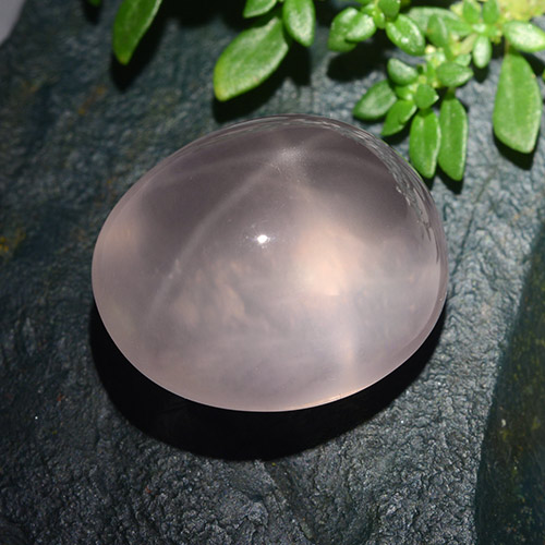 Rosado rosa muy claro Cuarzo Rosa Estrella Gema - 30.2ct Cabujón Óvalo (ID: 491566)