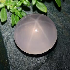 20.29 ct Pink Star Rose Quartz Stone, Natural Star Rose Quartz in Round Cabochon Shape for Sale