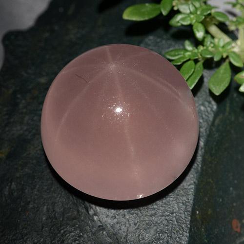 Rosado medio Cuarzo Rosa Estrella Gema - 66.3ct Cabujón Redondo (ID: 491917)