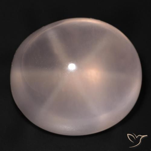 48,94ct Ovale cabochon rosa Quarzo rosa stellato dal Sud Africa, Dimension 22,3 x 19,8mm, Natural non trattati Gemstone, Transparent Clarity, 1 piece Quarzo rosa stellato in Rosa medio Color, Mohs Hardness of 6,5 - 7 adatto per gioielli da indossare ogni giorno, Photo A