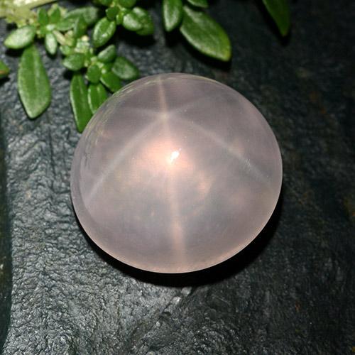 25.63 ct Pink Star Rose Quartz Stone, Natural Star Rose Quartz in Round Cabochon Shape for Sale