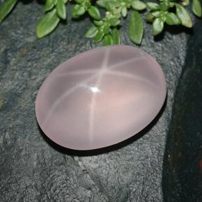 34.4ct Oval Cabochon Pink Star Rose Quartz Gem for sale 34.4ct Oval Cabochon Pink Star Rose Quartz Gem (ID: 491975)