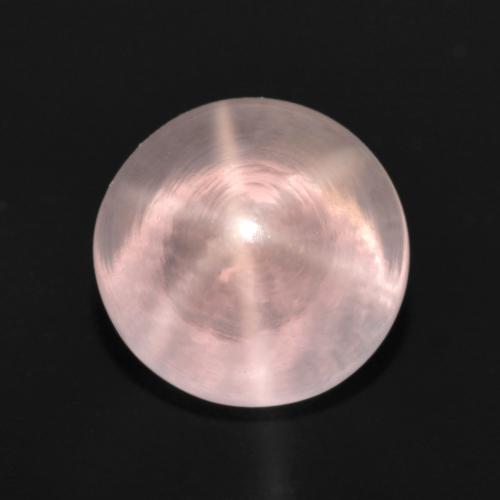 Светло-розовый Звездчатый Розовый Кварц Камень - 6.6ct Круглый Кабошон (ID: 599308)