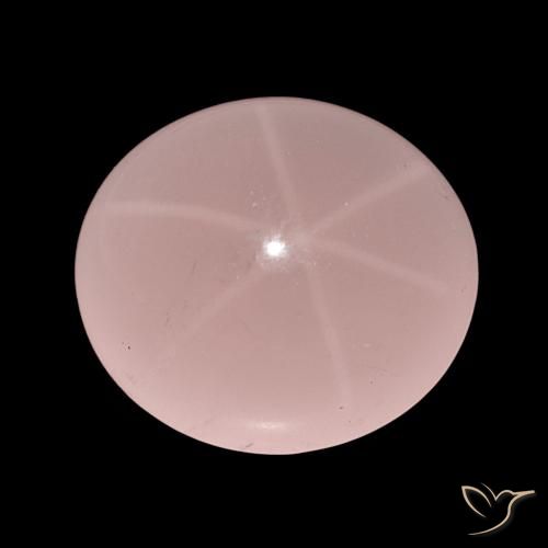 62.47ct Pink Tone Star Rose Quartz, Oval, Translucent