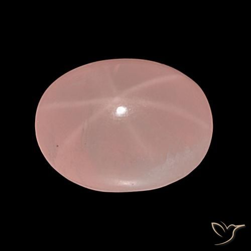 36.81ct Rose Pink Star Rose Quartz, Oval, Translucent
