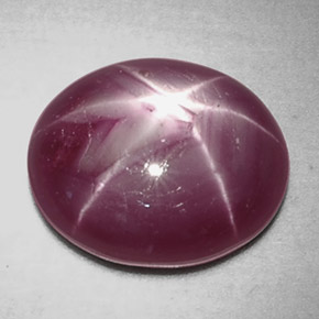 Star Ruby Gemstone in 12 x 10 mm (calibrated) Size for Sale, Star Ruby Stone in Purplish Red Color
