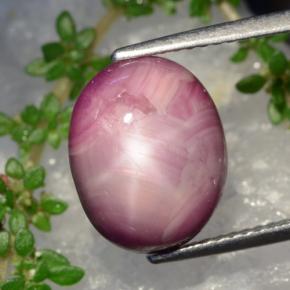 7.8ct Oval Cabochon Purplish Red Star Ruby for sale thumb image of 7.8ct Oval Cabochon Purplish Red Star Ruby (ID: 468605)
